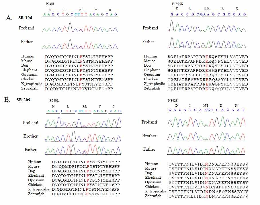 Confirmation of CDH23 mutations detected in this study