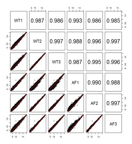 pair wise scatter plots을 통해 본 그룹간과 그룹내의 반복성 분석결과