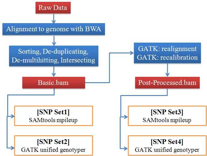 Single nucleotide variants (SNVs) validation을 위한 분석파이프라인