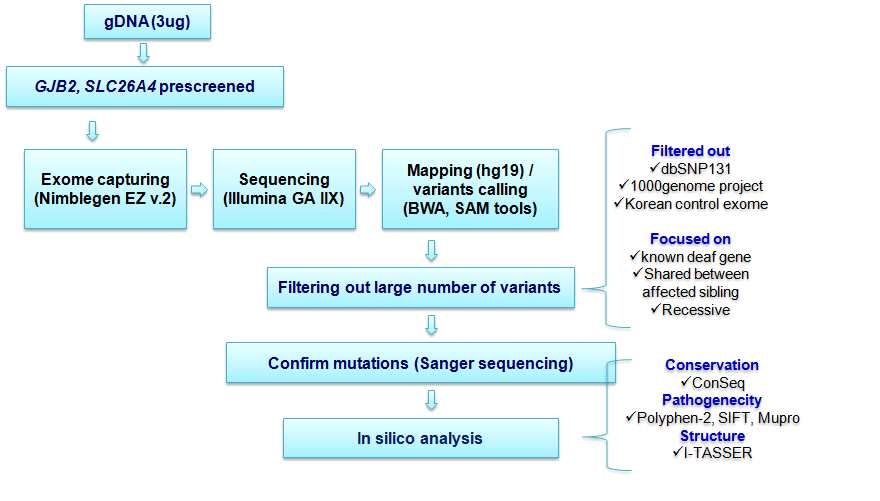 유전성난청질환 시료를 대상으로 수행한 NGS 실험 및 분석 과정