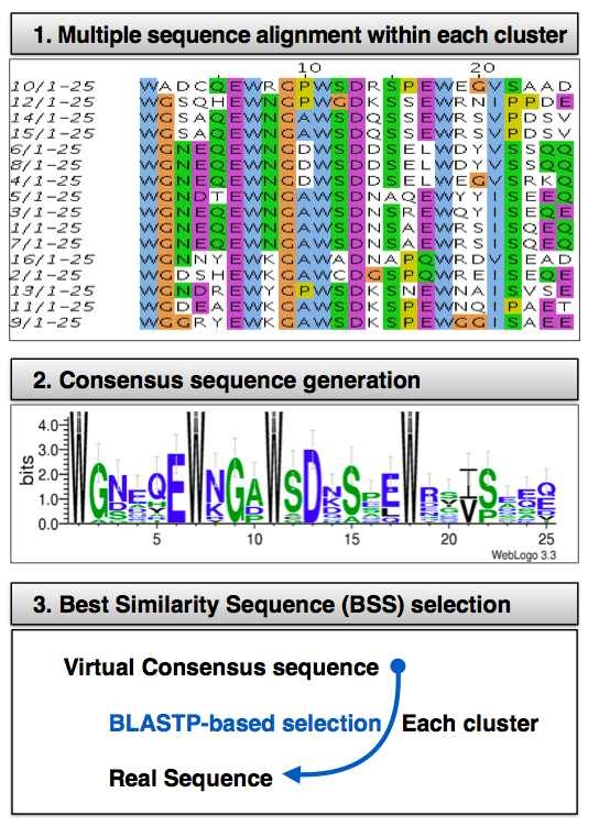 Consensus sequence 추출 모식도.