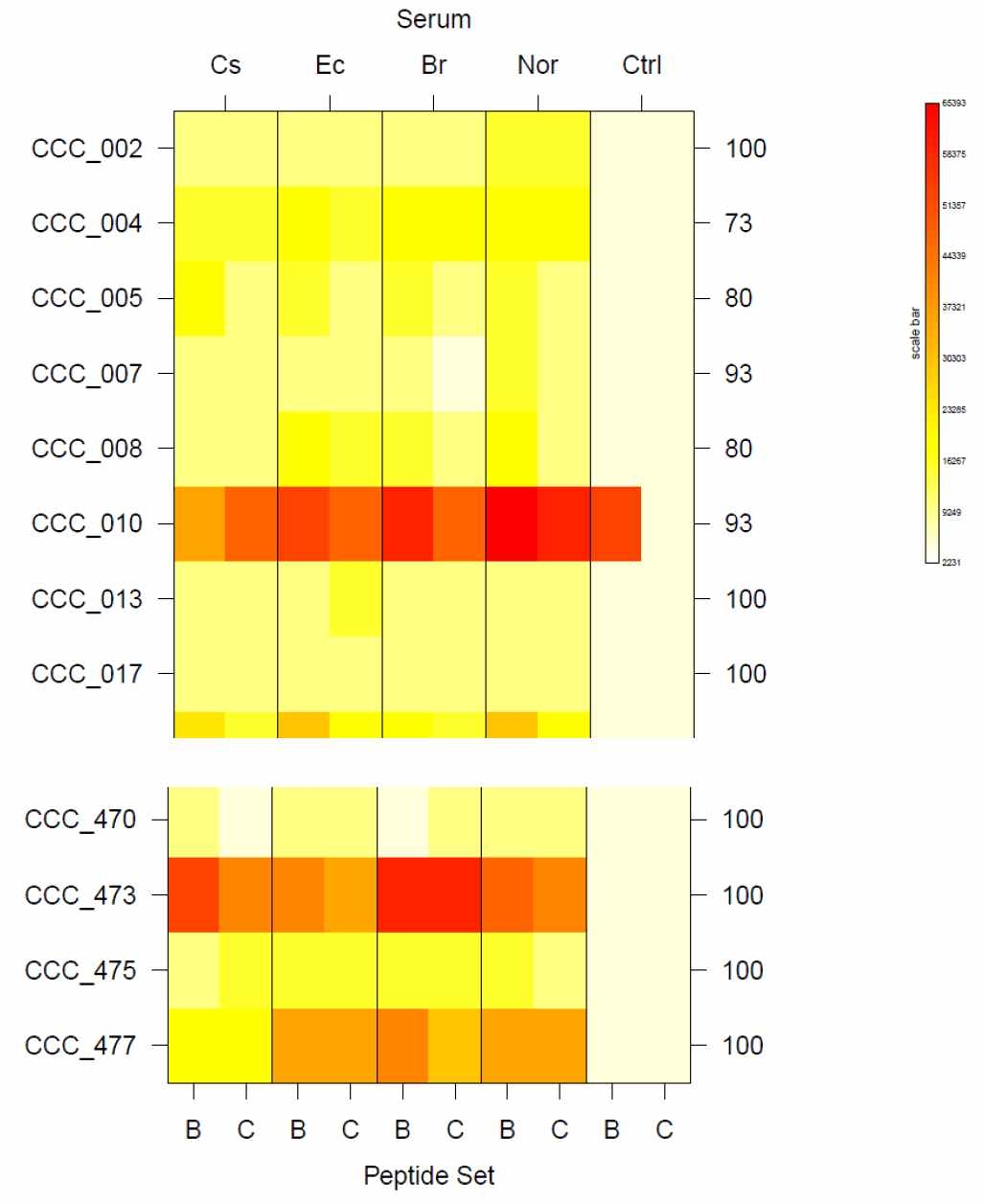 C 유래 공통항원 후보 peptide를 이용한 peptide array 실험 결과의 heatmap-diagram 시각화