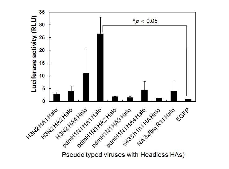 Infectivity를 갖는 Headless HA의 선별