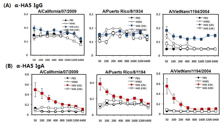 HA5 면역경로(I.N./I.M.)에 따른 GALT (Fecal Extracts) 에서의 IgG/IgA 확인