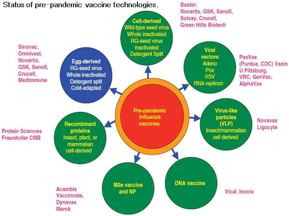 신변종 대유행 인플루엔자를 대비한 백신개발 현황