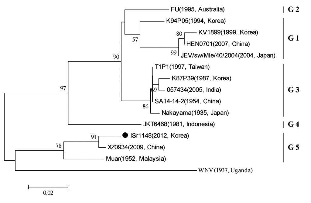 검출된 일본뇌염바이러스 염기서열을 이용한 phylogenetic tree 작성