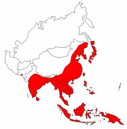 일본뇌염 발생국가, 1970-1998