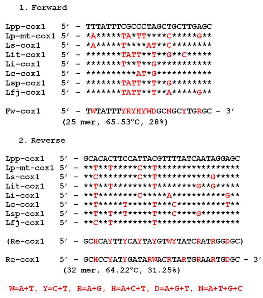 Design of degerated primer set for amplification of Leptotrombidium cox1 genes.