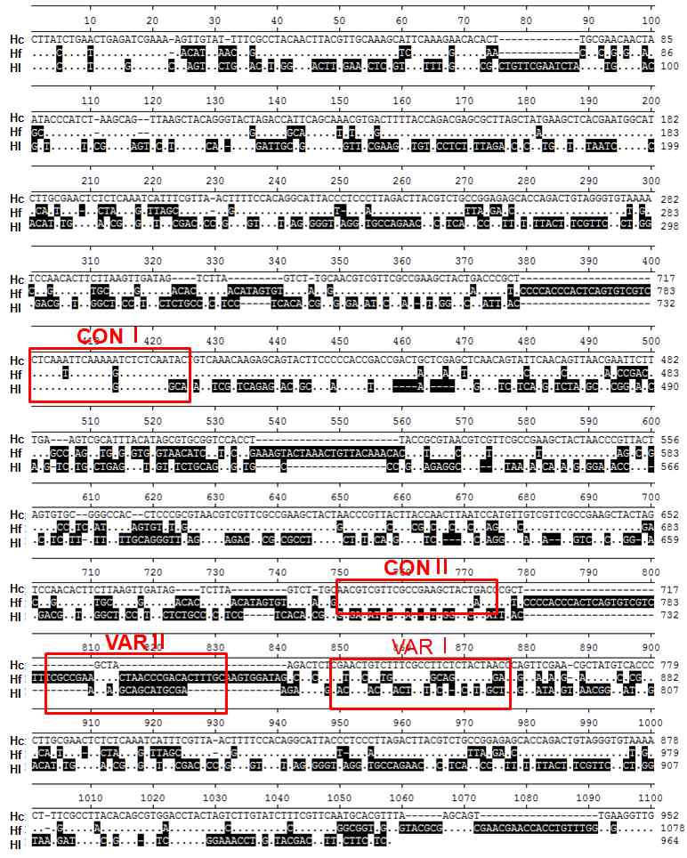Nucleotide sequence alignment of internal transcribed spacer (ITS) of three Haemaphysalis species