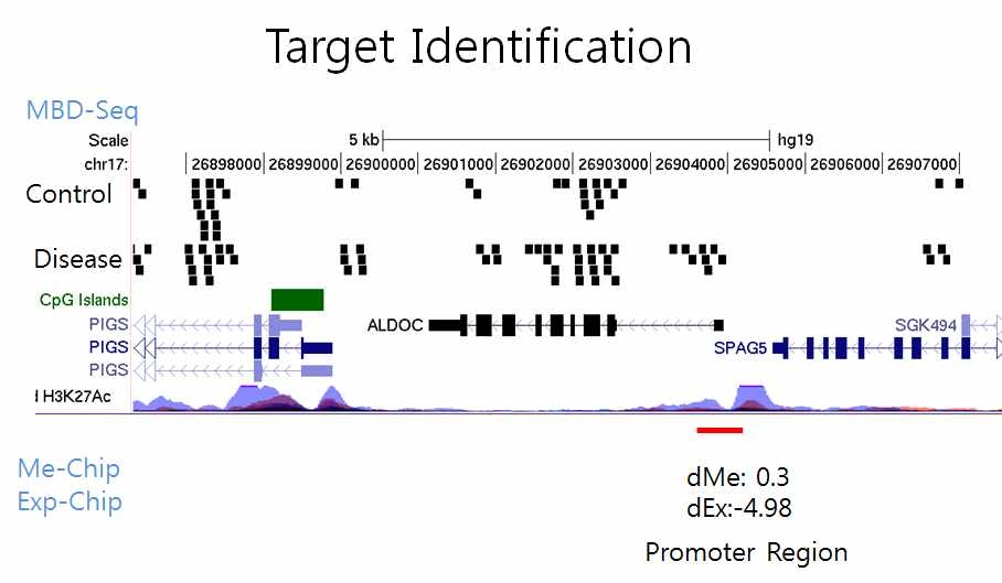 MBD-Seq 데이터와 Illumina 450k Chip데이터의 CpG 수준에서의 상호 비교