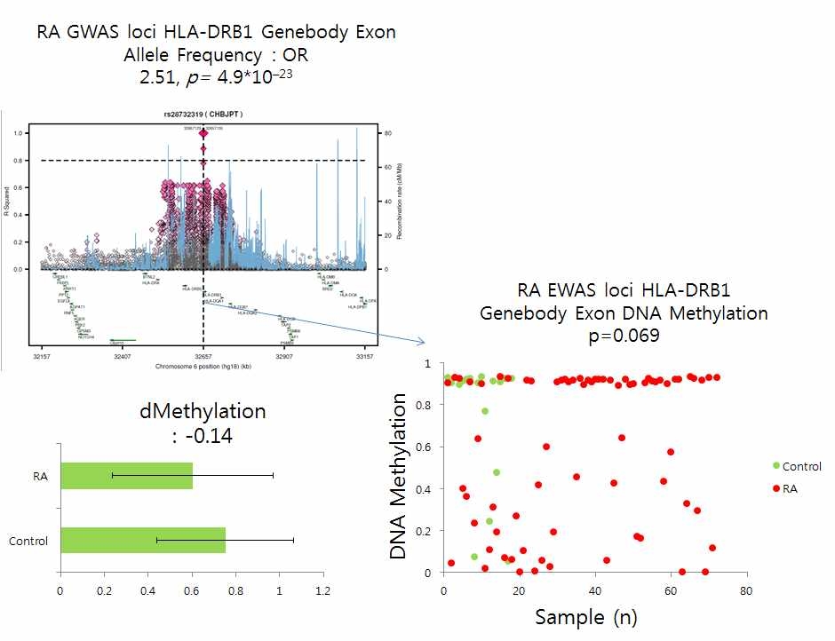 RA 450k chip DNA methylation on GWAS hot spot