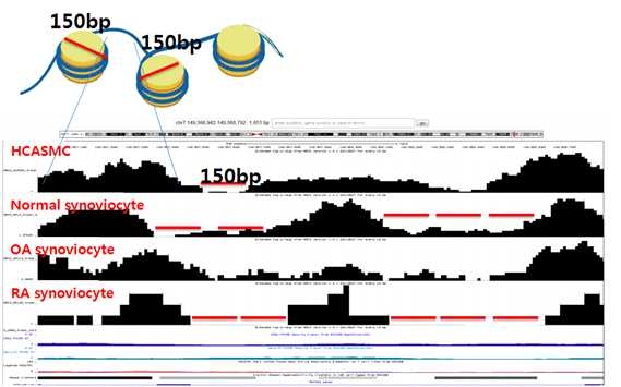 Open Chromatin Seq의 Data Validation