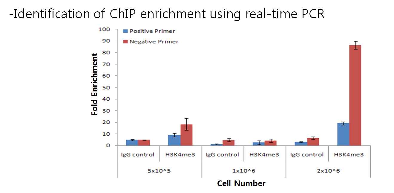 Input에 사용한 세포수에 따른 ChIP 효율의 비교