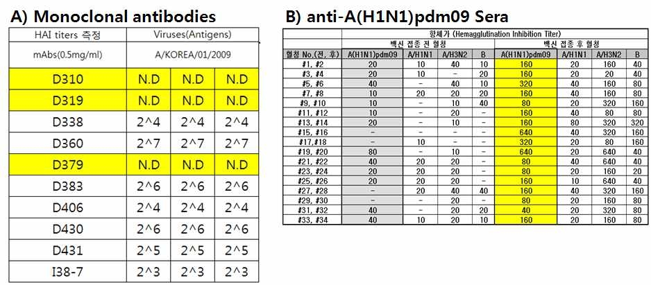 항A(H1N)pdm09 혈청 및 단일클론항체의 확보 및 A(H1N)pdm09 특이성 확인