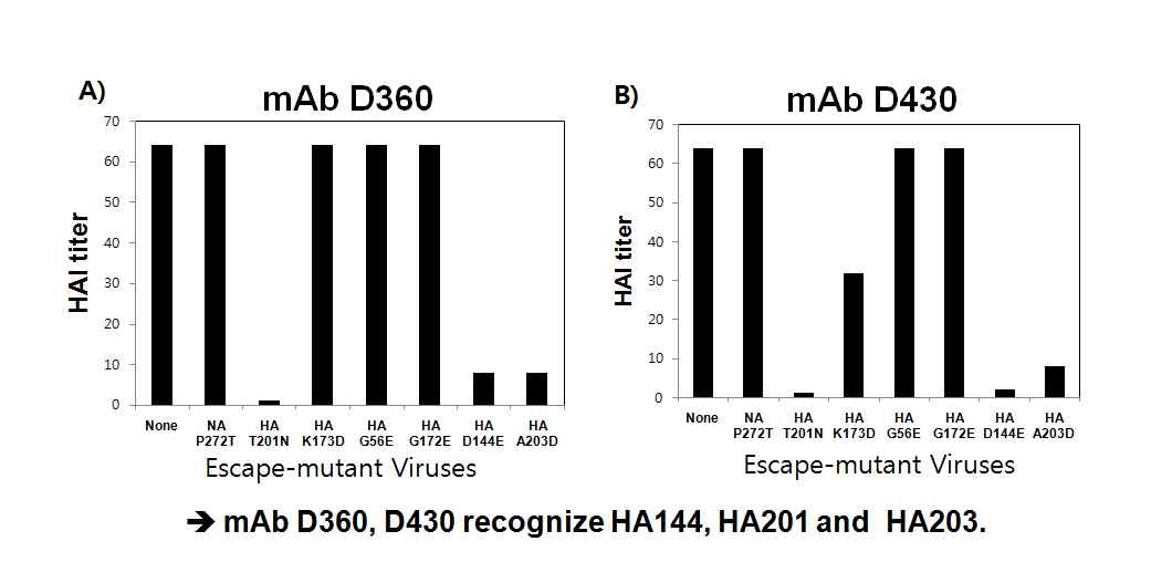 mAb-D360, mAb-D430과 escape mutant의 상호작용