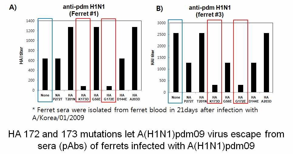 항A/H1N1pdm09 ferret 혈청과 escape mutant간의 상호작용