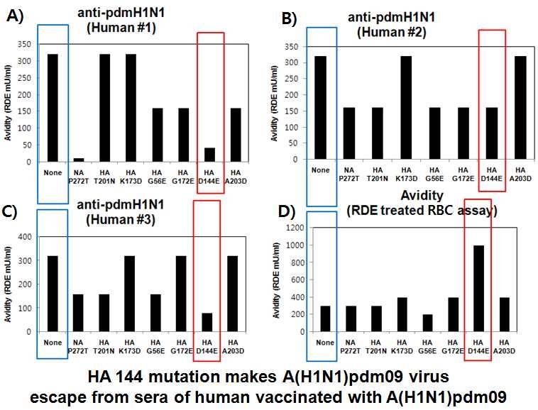 항A/H1N1pdm09 사람혈청과 escape mutant간의 상호작용