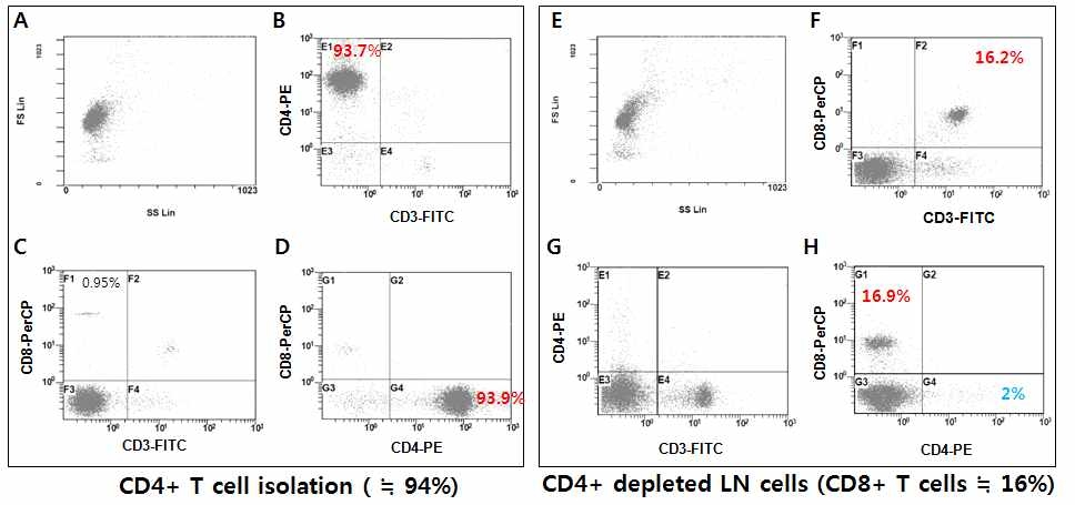 마우스 Whole lymphocyte에서 분리 정제된 CD4+ T lymphocyte와 CD4+ T depleted lymphocytes의 유세포분석을 통한 분석결과