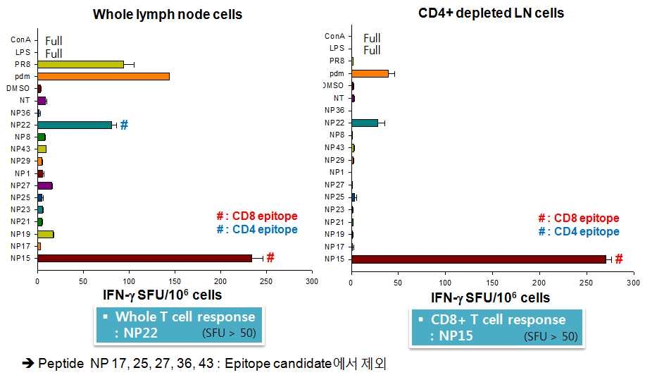 A/H1N1pdm09 항원 NP의 T세포 에피톱 선별 결과