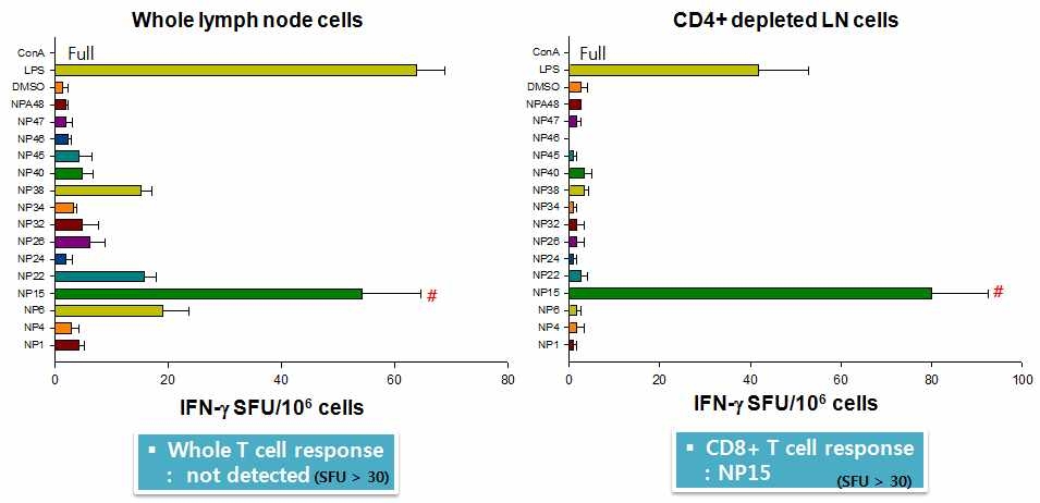 A/H1N1pdm09 바이러스의 항원 NP에 대한 long lasting T세포 에피톱을 규명하기 위한 ELISPOT실험 결과