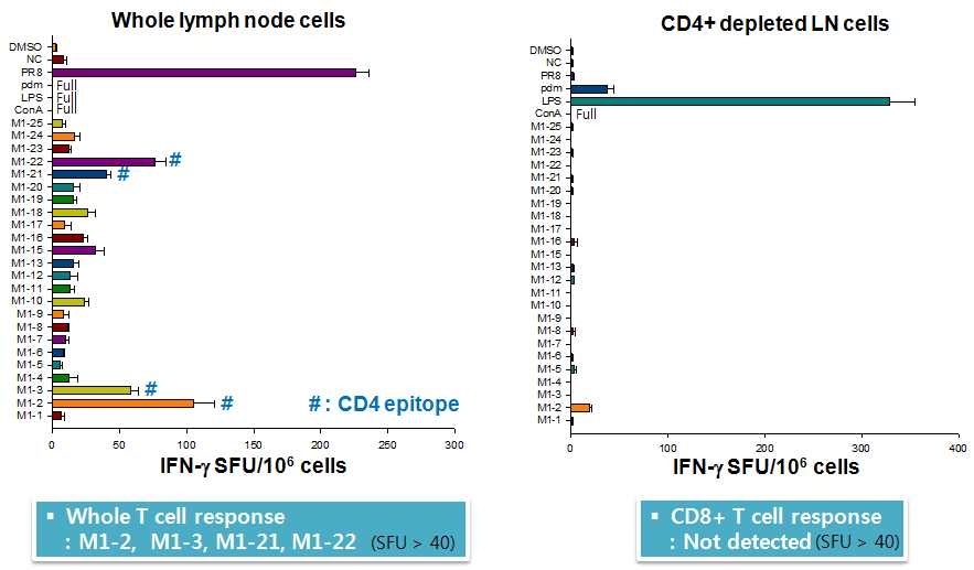 H1N1pdm09형 바이러스의 M1 에피톱 매핑을 위한 IFN-g ELISPOT 실험 결과