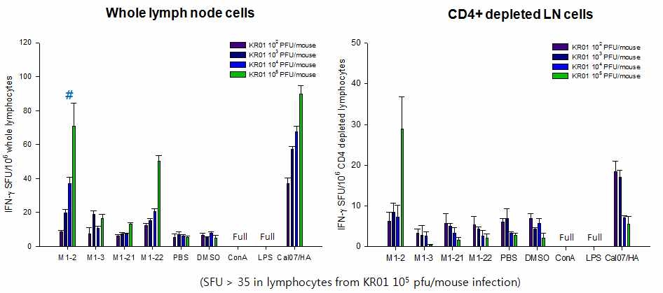 H1N1pdm09형 바이러스의 M1 에피톱 매핑을 위한 IFN-g ELISPOT 실험 결과