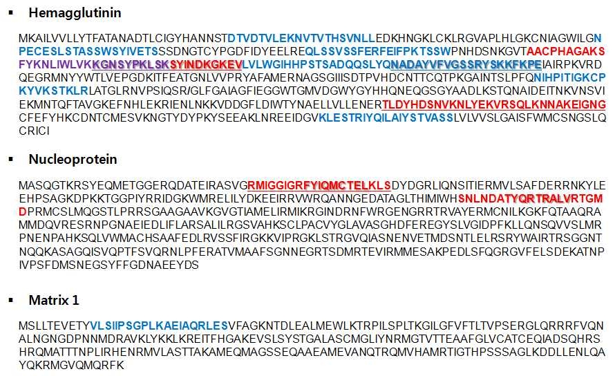 H1N1pdm09형 바이러스의 HA, NP, M1 항원 단백질 아미노서열에서 CD4+, CD8+ T세포 에피톱의 위치