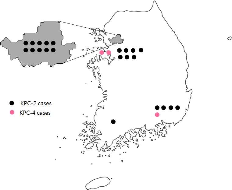 Distribution of KPC producing isolates