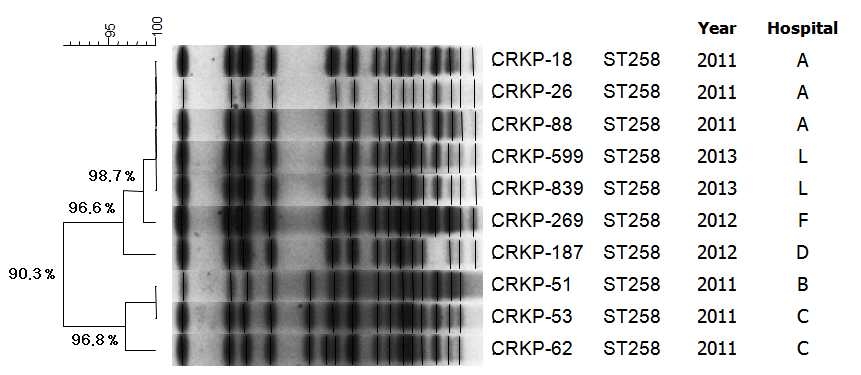 PFGE patterns of Xba-I digested DNA of the KPC-producing K. pneumoniae ST258