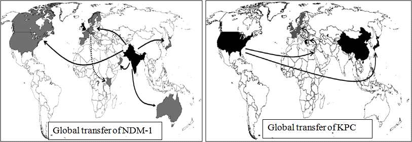 Global transfer of major carbapenemase producing Enterobacteriaceae