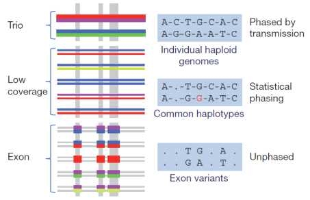 1000 genomes 프로젝트의 분석 체계