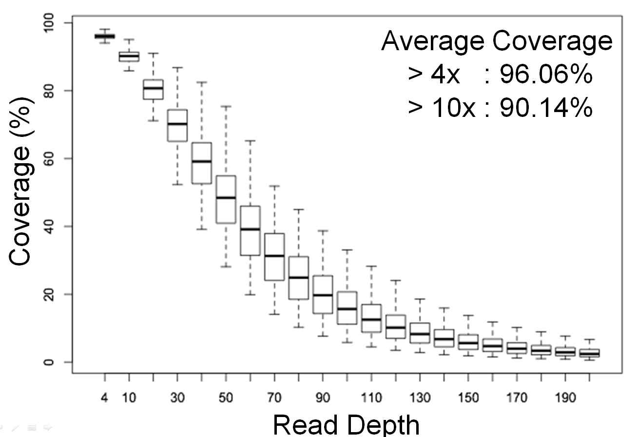 엑솜시퀀싱 목표 유전 부위의 커버리지 분포