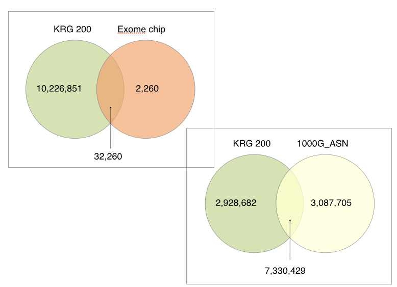 한국인 200명과 1,000 지놈 및 exome chip과의 비교