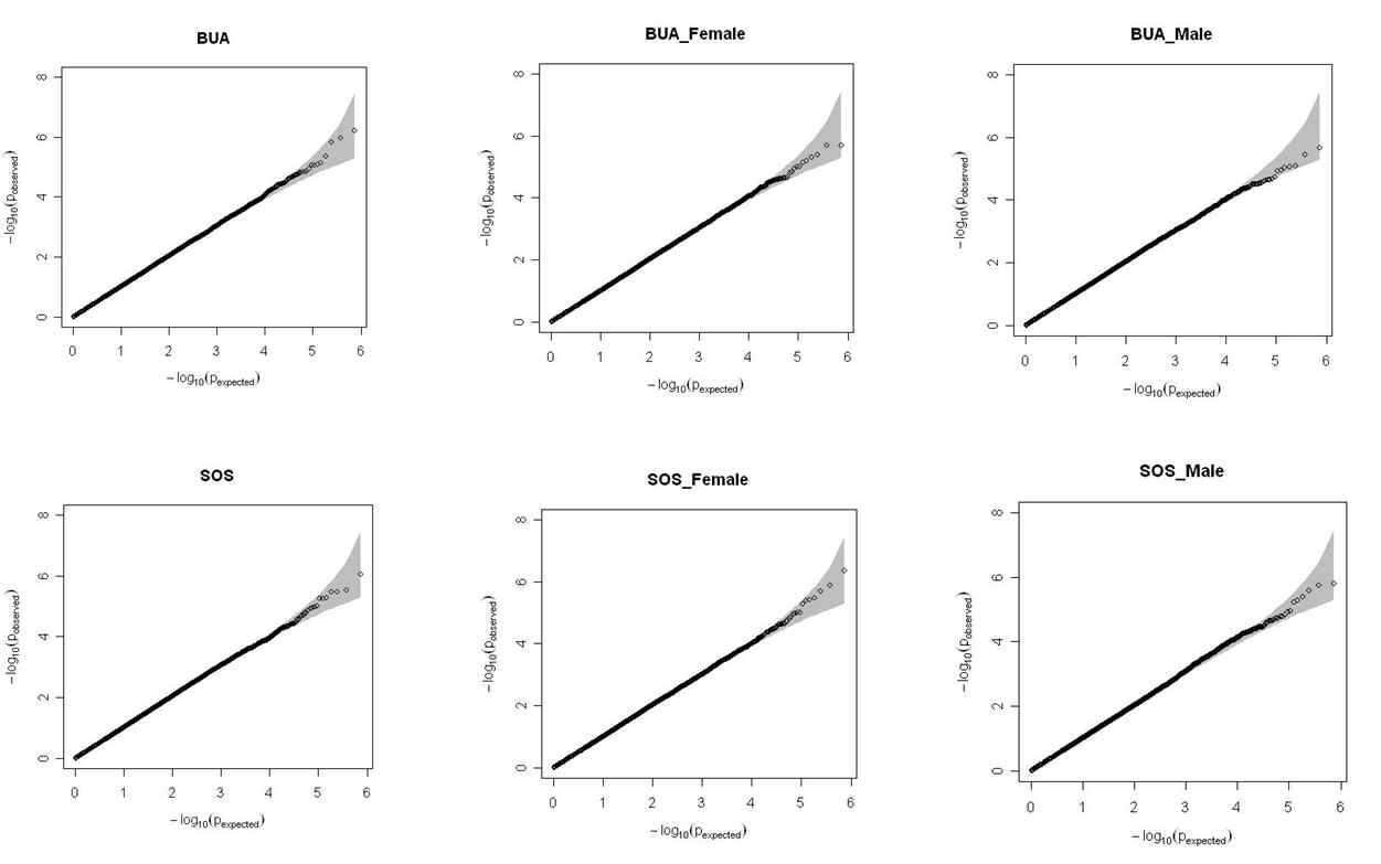 BUA 및 SOS에 대한 GWAS QQ PLOTs