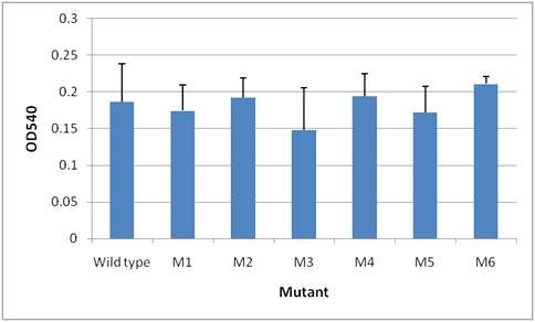 Comparison of hemolysis activity between wild type and mutnat strains