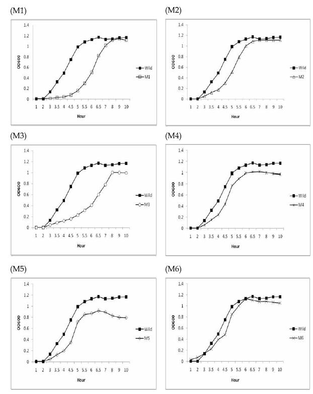 Comparison of growth curve between wild type and mutants