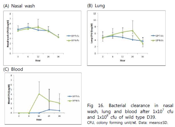 Bacterial clearance in nasal wash, lung and blood after 1x107 cfu and 1x108 cfu of wild type D39