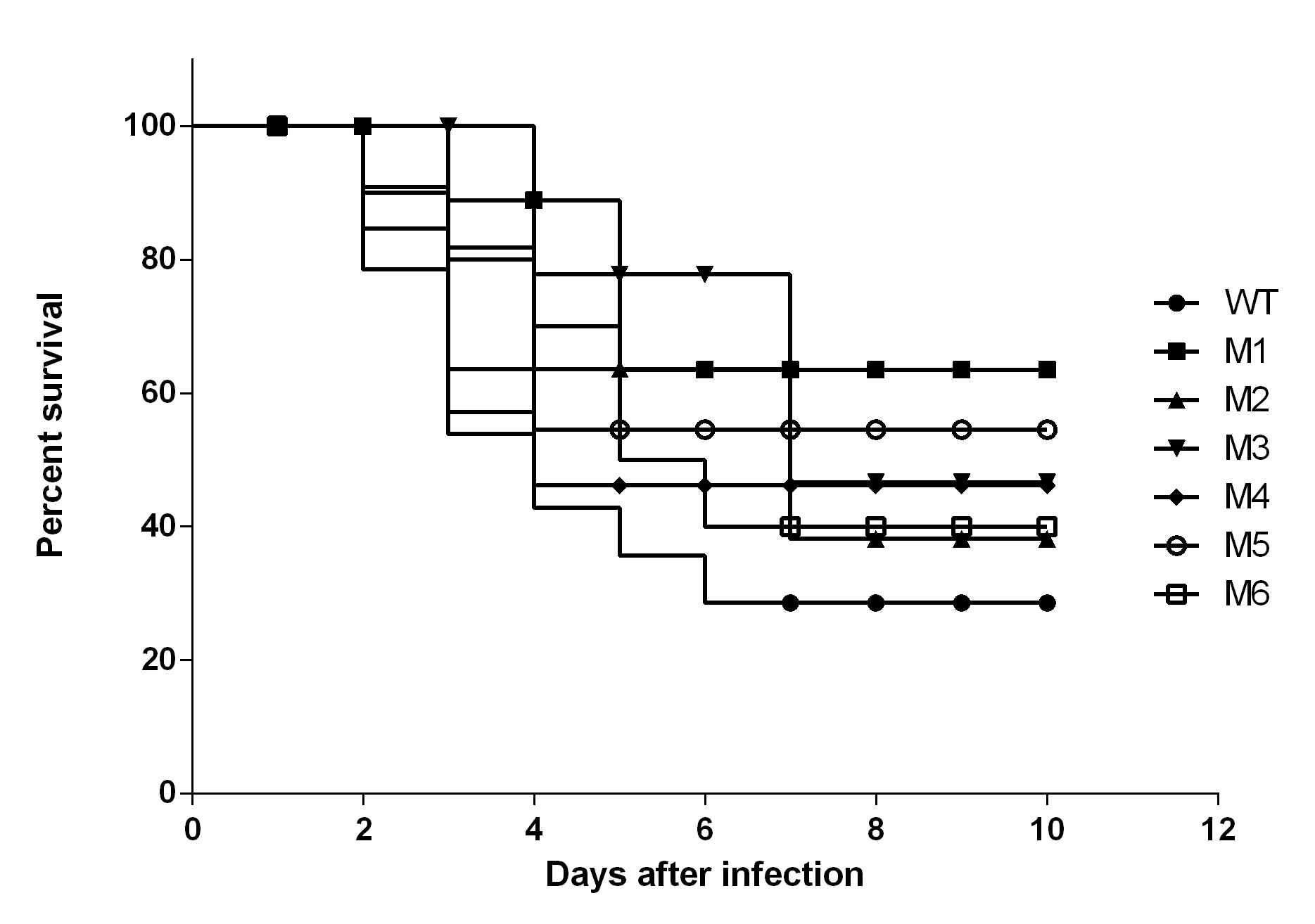 Comparison of survival rate after nasal infection between wild type and mutant strains