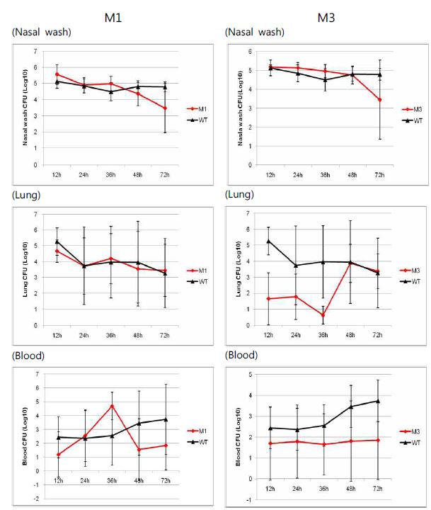 Comparison of bacterial number in nasal wash, lung, and blood after i.n. infection of wild type, M1 and M3. CFU, colony formaing unit/㎖. Data: means±SD