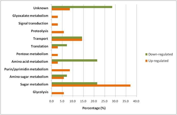 Percentages of differential expression in GH32 mutant