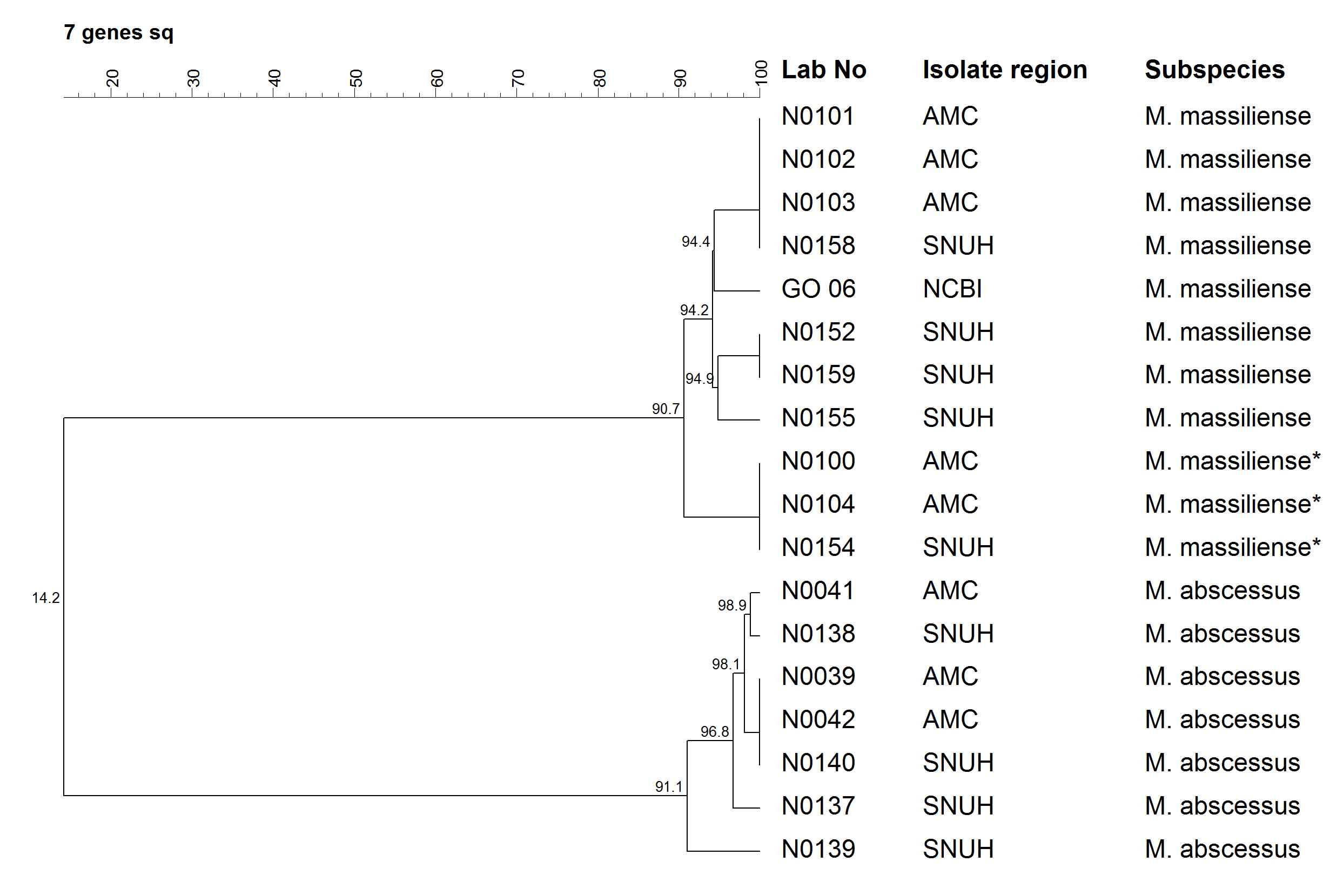 M. abscessus complex의 7개 유전자 통합분석 dendrogram