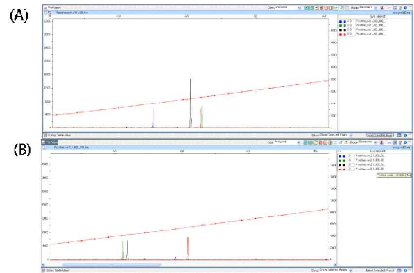 M. avium ATCC 25291을 이용한 amplification plot