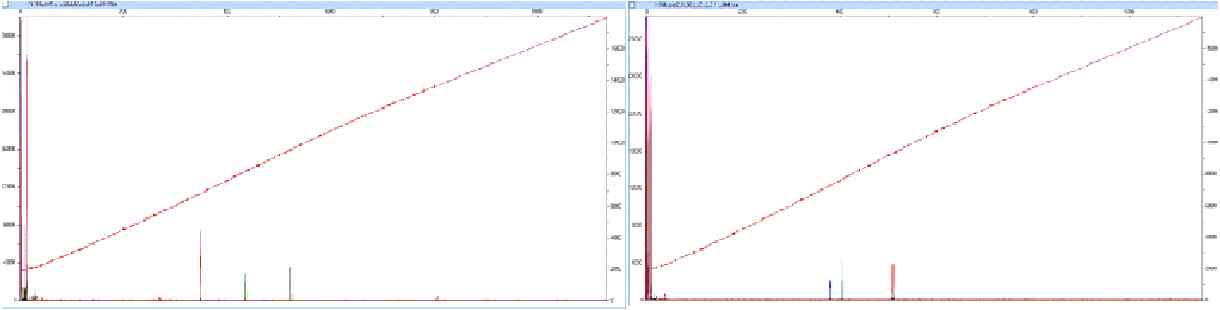 M. intracellulare ATCC 13950의 amplification plot