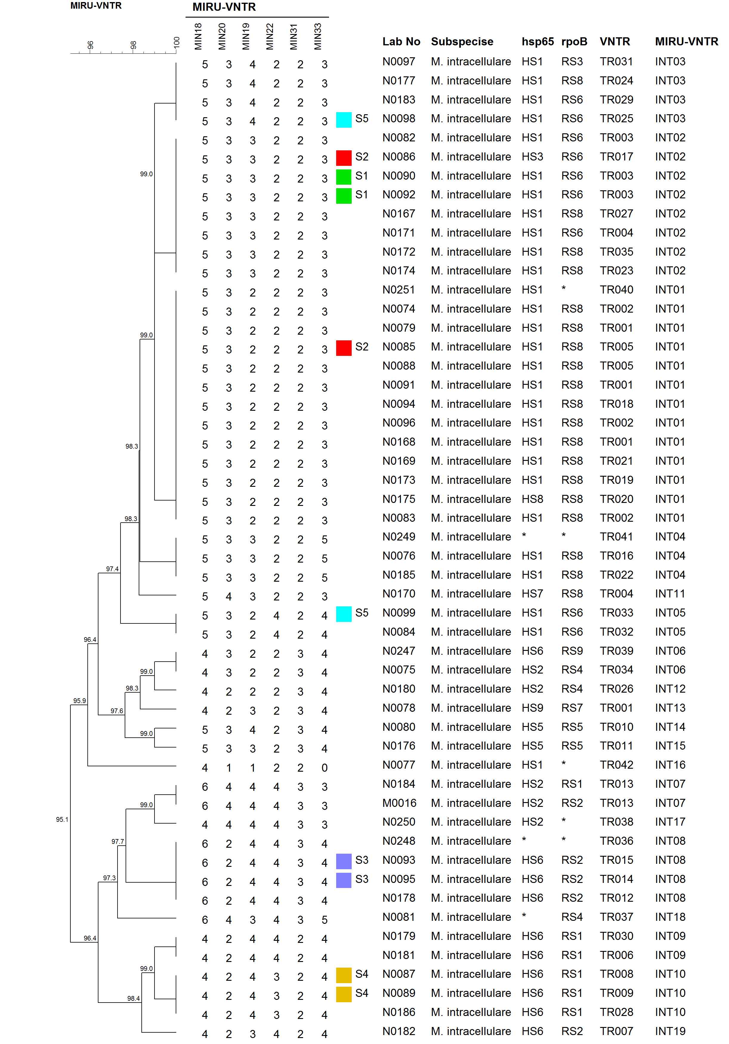 M. intracellulare MIRU-VNTR dendrogram