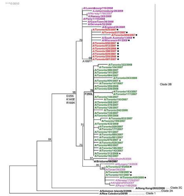 Distribution of H275Y and H275 isolates of influenza virus A(H1N1) based on nucleotide homology of HA, Toronto, Canada