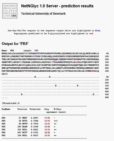 Predicted N-linked glycosylation site of HA amino acid in seasonal