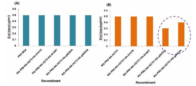 RBC binding assay. Oseltamivir sensitivity viruses had a similar binding avidity (A). HA mutation receptor of oseltamivir resistant binding ability was markedly reduced (B).