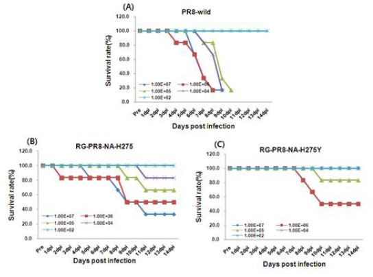 Effect of survival rate on the inoculated mice with wild type virus and RG-NA-HA mutation recombinants