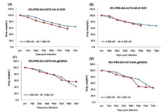 Effect of body weight in the inoculated mice with HA mutation recombinants on NA sensitive virus (RG-PR8-NA-H275)