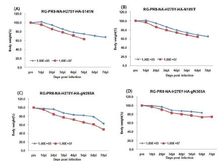 Effect of body weight in the inoculated mice with HA mutation recombinants on NA resistant virus (RG-PR8-NA-H275Y)